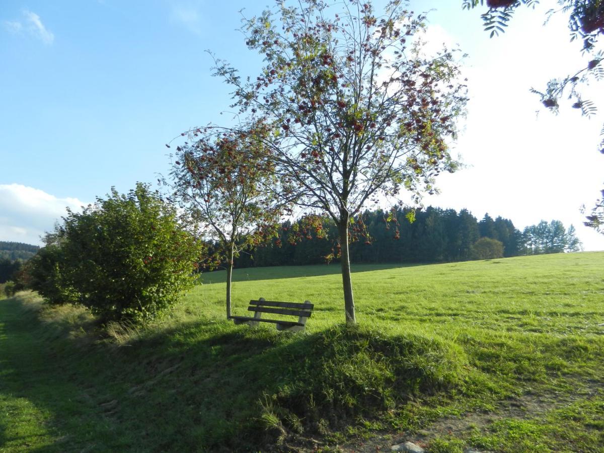 Waldgasthof & Hotel Am Sauwald Tannenberg Bagian luar foto