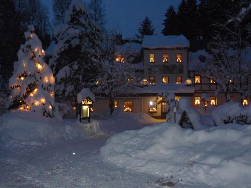 Waldgasthof & Hotel Am Sauwald Tannenberg Bagian luar foto